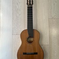 Chitarra 8 Corde Giussani mod Leonardo