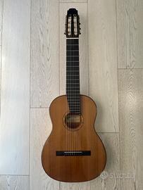 Chitarra 8 Corde Giussani mod Leonardo