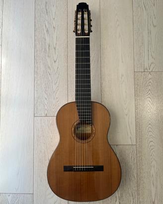 Chitarra 8 Corde Giussani mod Leonardo