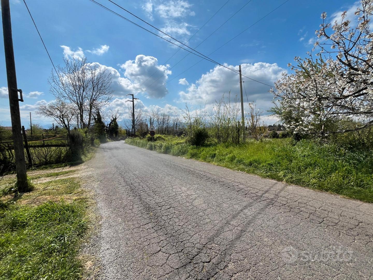 Valmontone: terreno agricolo pianeggiante - Vista 4