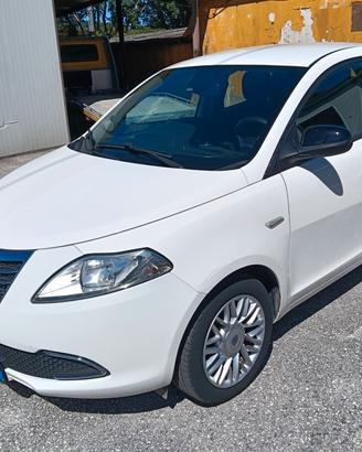 Lancia Ypsilon 1.3 MJT 16V 95 CV 5 porte S&S Gold