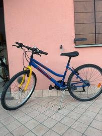 Bicicletta