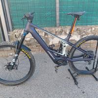 Orbea Wild  h10