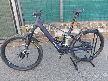 Orbea Wild  h10