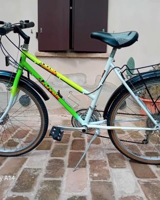 Mountain bike Torpado Canion