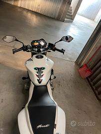 Honda Hornet 600 anno 2005