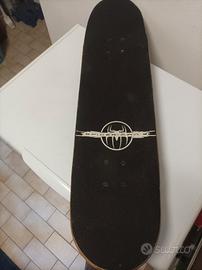 skateboard Spiderman