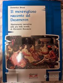 Libro “il meraviglioso racconto del Decameron”