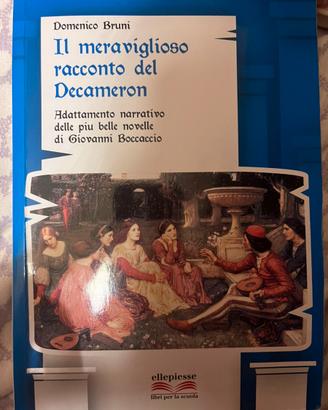 Libro “il meraviglioso racconto del Decameron”