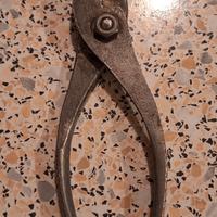 antica pinza