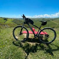 Cannondale F29 Carbon