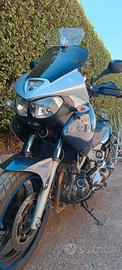 Yamaha TDM 900 twin 