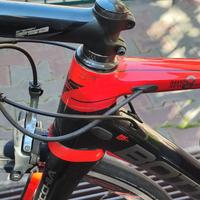 BOTTECCHIA 8AVIO REVOLUTION