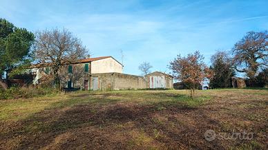 Terratetto con terreno e annessi a Pancole