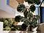 Immagine 28
