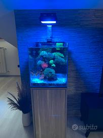 Acquario marino