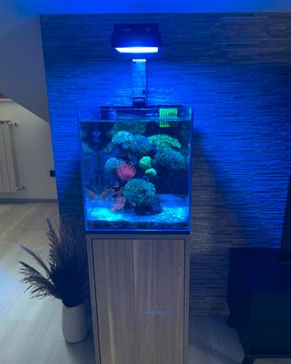 Acquario marino