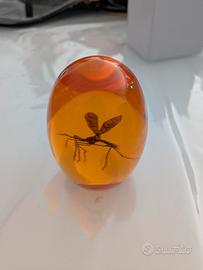 Jurassic Park ambra con zanzara gadget