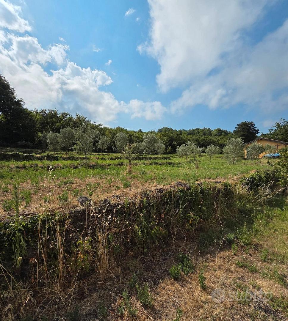 Terreno edificabile e agricolo con casa a Mascali - Vista 2