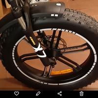 Bici elettrica 