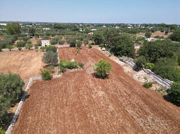 TER. AGRICOLO A POLIGNANO A MARE