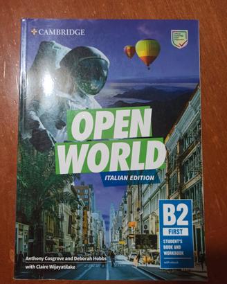 OPEN WORLD B2