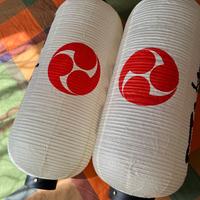 Set Lanterne Giapponesi + Luci a Fiamma