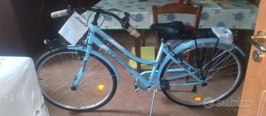 bicicletta da passeggio 