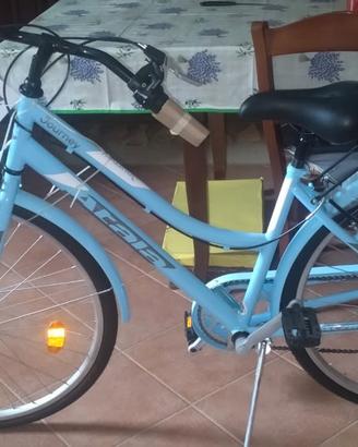 bicicletta da passeggio 