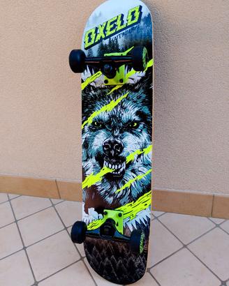 Skateboard