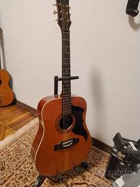 chitarra eko ranger 