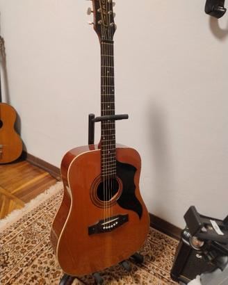 chitarra eko ranger 