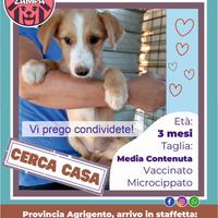 A Natale regala una casa