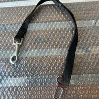 Cintura sicurezza per guinzaglio