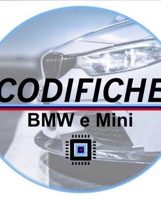 BMW e MINI codifiche aggiornamenti mappature