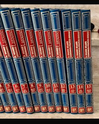 Il grande dizionario - Larousse