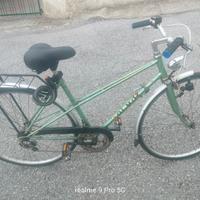bicicletta olmo