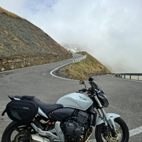 Honda hornet 2011