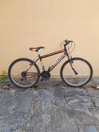2 biciclette mountain bike + 1 cyclette