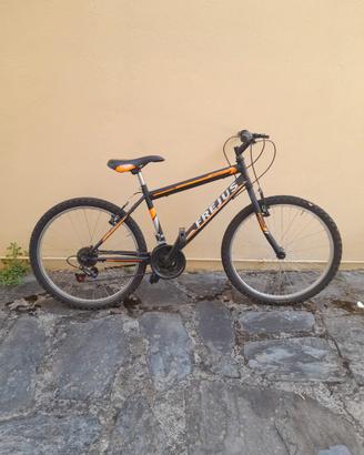 2 biciclette mountain bike + 1 cyclette