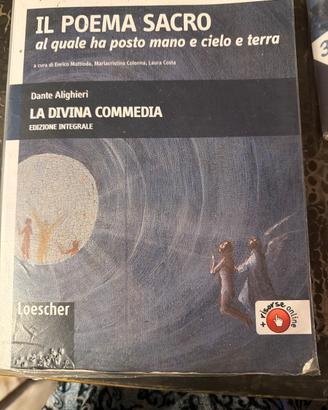 La divina commedia -il poema sacro