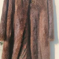 pelliccia di castoro selvatico 