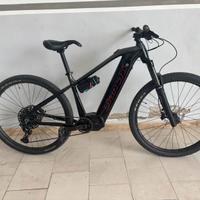 bicicletta con pedalata assistita -