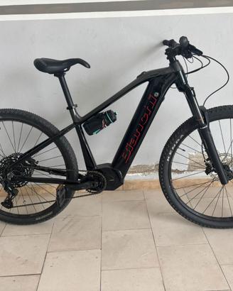 bicicletta con pedalata assistita -