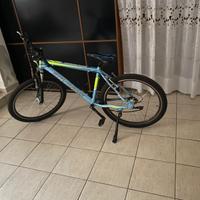 Bicicletta sovrano 2024