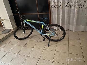 Bicicletta sovrano 2024