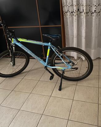 Bicicletta sovrano 2024