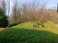 Immagine 28