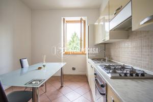 Bilocale al piano rialzato con cantina libero da s