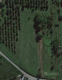 Terreno Agricolo / Spazio Green